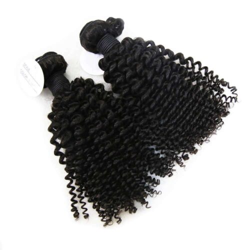 Brazilian Remy Hair Kinky Curly Hair Natural Black 1 Bundle 10 brazilian remy hair JC 3