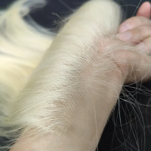 5X5 613 HD Lace Closure Virgin Human Hair Straight Blonde Color 6 613 hd lace closure front