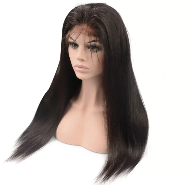 raw hair wigs full lace wig straight