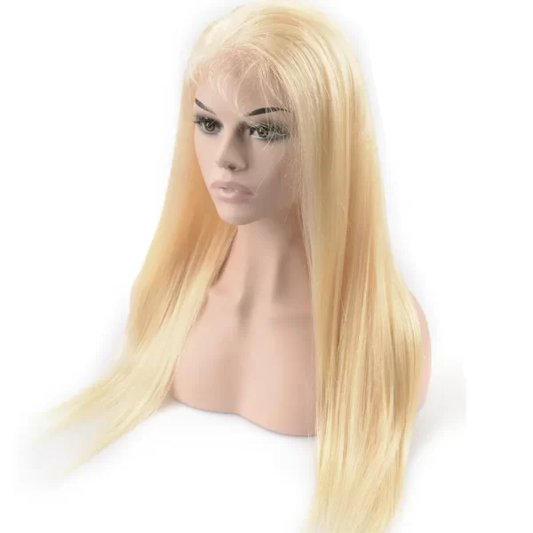 blonde full lace wig virgin human hair straight
