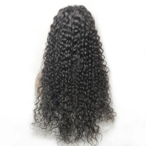 5x5 HD Lace Wig 100% Virgin Human Hair Custom Closure Wig 12 5x5 HD Lace Wig Virgin Hair Closure Wig