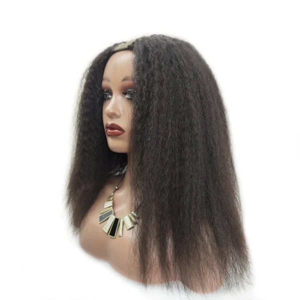 Virgin Human Hair Kinky Straight Wis