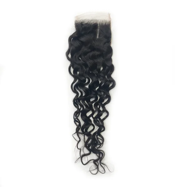 HD Lace Closure Water Wave