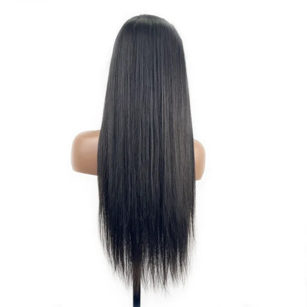 13x4 hd lace wig straight hair