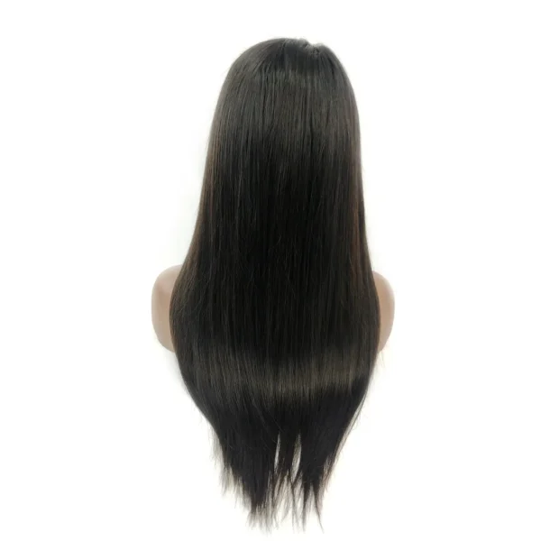 13x6 hd lace frontal wig virgin hair