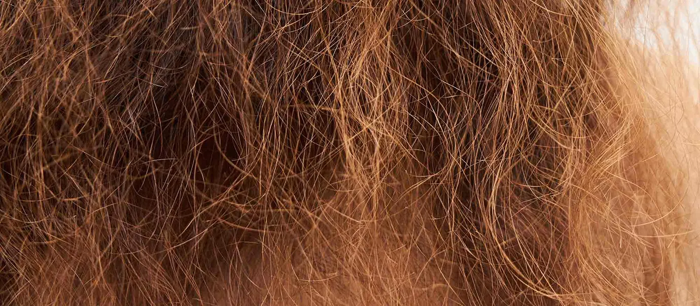 signs your hair needs moisture